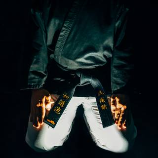 Martial art wallpaper