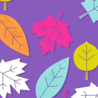 Purple autumn leaves wallpaper