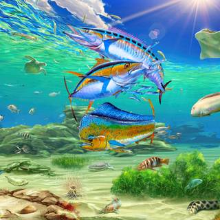 Mahi Mahi fish wallpaper