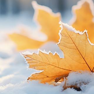 5120x2160 winter wallpaper