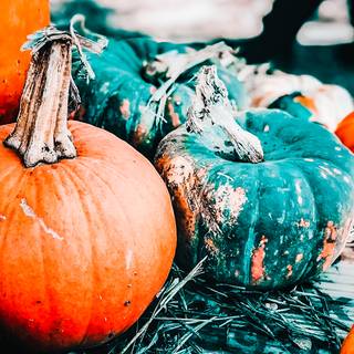 iPad 7 cozy autumn wallpaper