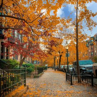 Autumn leaves street wallpaper