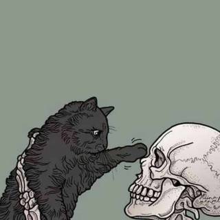 iPhone Halloween skull wallpaper