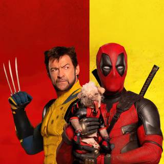 Deadpool and Wolverine characters wallpaper