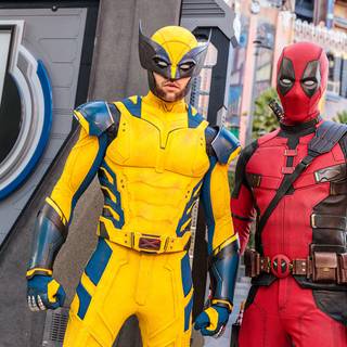 Deadpool and Wolverine characters wallpaper