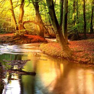 Fall Dual Monitor wallpaper