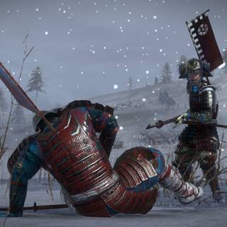 Fallen warrior wallpaper