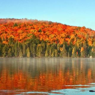 Fall Dual Monitor wallpaper