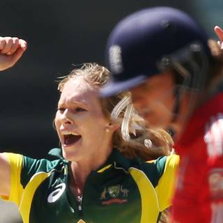 Holly Ferling wallpaper