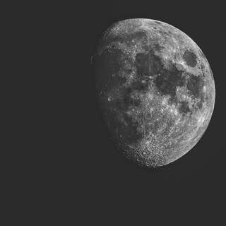 Black and white theme wallpaper