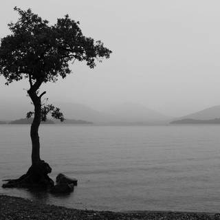 Black and white theme wallpaper