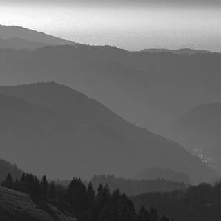 Dark nature PC wallpaper