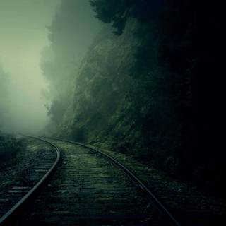 Dark nature PC wallpaper