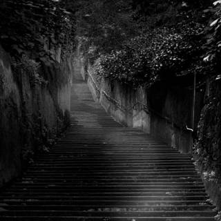 Dark nature PC wallpaper