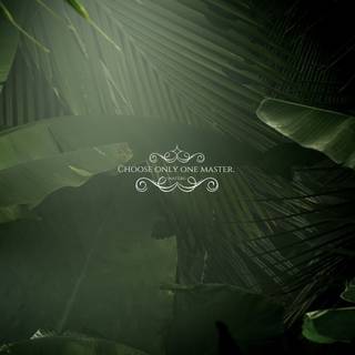 Dark nature PC wallpaper