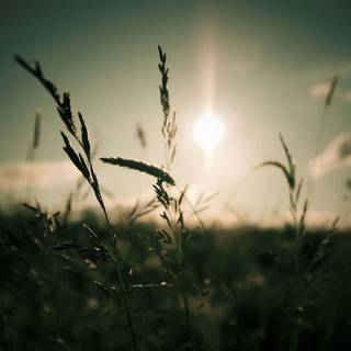 Dark nature PC wallpaper