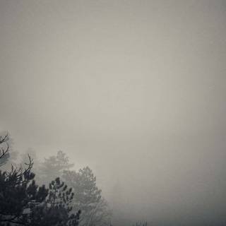 Dark nature PC wallpaper