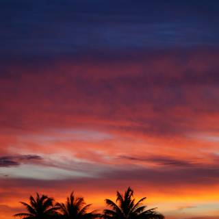 Chill sunset wallpaper