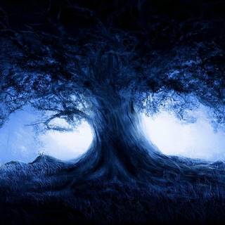 Dark nature PC wallpaper