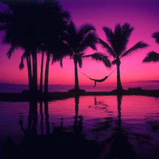 Chill sunset wallpaper