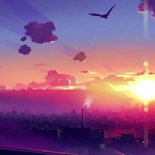 Chill sunset wallpaper