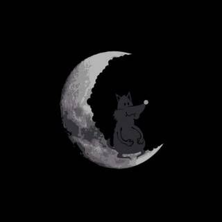 Black fox iPhone wallpaper