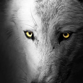 True black phone HD wallpaper