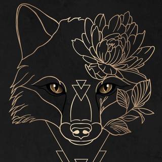 Black fox iPhone wallpaper