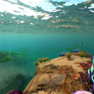 Subnautica desktop wallpaper