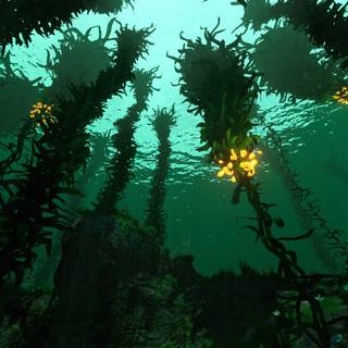 Subnautica desktop wallpaper