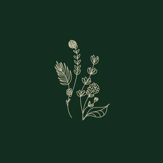 Dark green minimal wallpaper