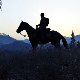 The Last of Us Part 2 4k PS5 wallpaper