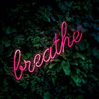 Breathe wallpaper