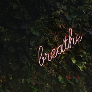 Breathe wallpaper