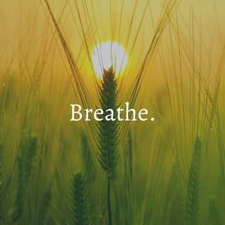 Breathe wallpaper