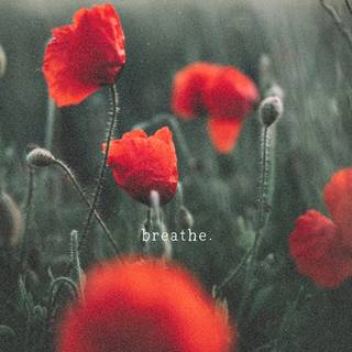 Breathe wallpaper