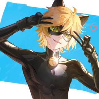 Cat Noir wallpaper