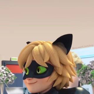 Cat Noir wallpaper