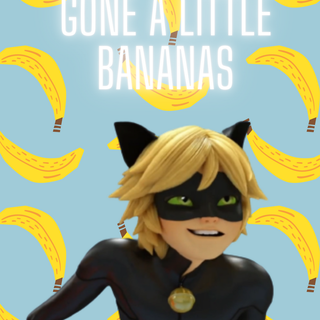 Cat Noir wallpaper