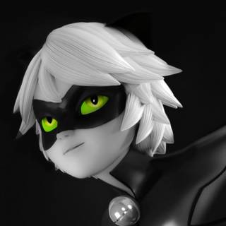 Cat Noir wallpaper