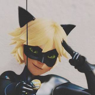Cat Noir wallpaper