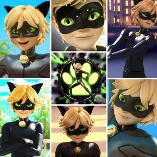 Cat Noir wallpaper