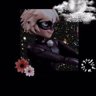 Cat Noir wallpaper