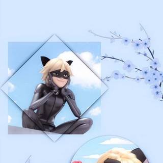 Cat Noir wallpaper