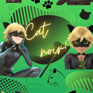 Cat Noir wallpaper