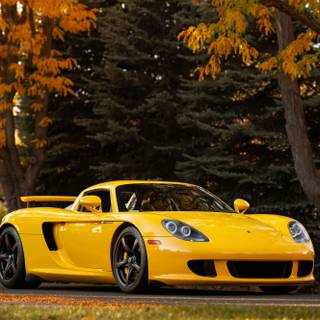 Porsche autumn PC wallpaper