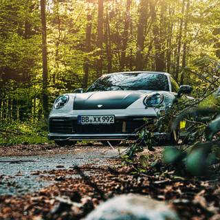 Porsche autumn PC wallpaper