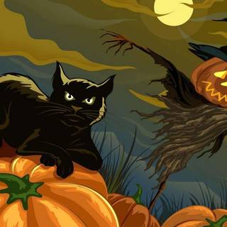 Halloween with cats wallpaper