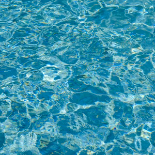 Preppy swim wallpaper