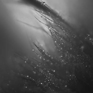 Soft dark 4k wallpaper